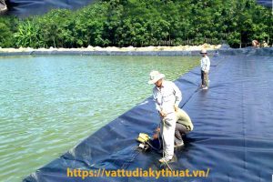 Tư vấn thi công hồ nuôi tôm bằng bạt chi phí thấp