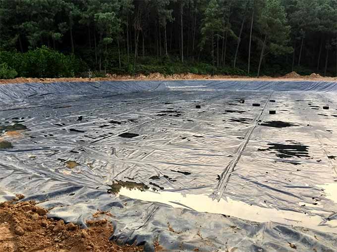 mang-chong-tham-hdpe-10