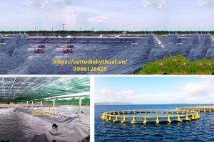 Màng HDPE chống thấm phát triển nuôi tôm trên cát