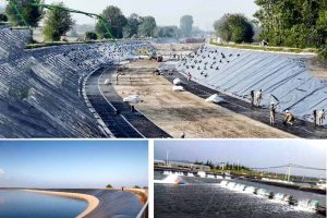 Màng HDPE chống thấm trong nuôi trồng thủy sản