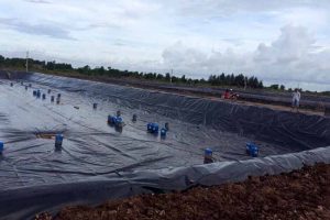 Đánh giá hiệu quả của bạt lót hồ nuôi tôm