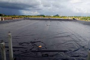 Những ưu thế khi sử dụng bạt lót hồ ao nuôi tôm