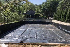 Thi công màng chống thấm HDPE – Hồ Cảnh Quan Nuôi Cá