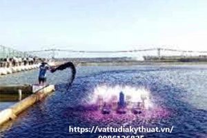 Bán bạt lót ao hồ tại Quảng Bình