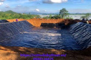 Mua bạt lót ao hồ tại Nghệ An ở đâu tốt?