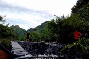 Mua bạt nhựa HDPE lót ao hồ tại Sơn La ở đâu tốt?