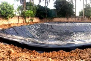 Thi công bạt lót hồ nuôi cá tại Từ Sơn, Bắc Ninh