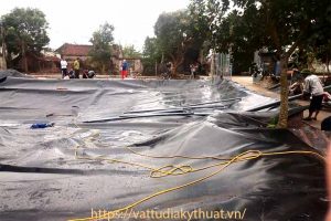Mua bạt lót ao hồ tại Thái Bình ở đâu?
