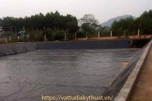 Đại lý màng bạt nhựa HDPE lót ao hồ tại Tuyên Quang