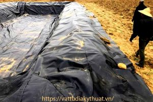 Mua màng bạt nhựa HDPE lót ao hồ tại Yên Bái ở đâu uy tín?