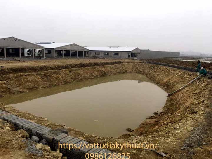 Bạt nhựa HDPE được sử dụng xây dựng hầm biogas và ao sinh học cho trang trại chăn nuôi lợn