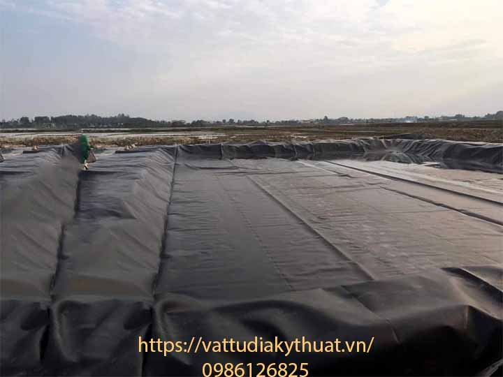 hệ thống biogas, ao sinh học sử dụng màng HDPE chống thấm tại thọ Xuân, Thanh Hóa