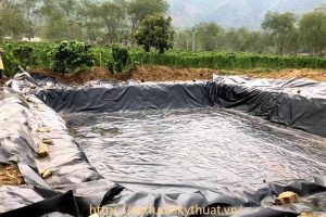 Mua màng bạt nhựa HDPE tại Điện Biên ở đâu tốt?