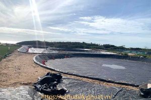 Mua màng bạt nhựa HDPE lót ao hồ tại Ninh Thuận ở đâu tốt?