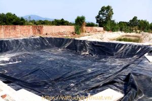 Xây dựng hầm biogas bằng màng chống thấm HDPE tại BÌnh Dịnh