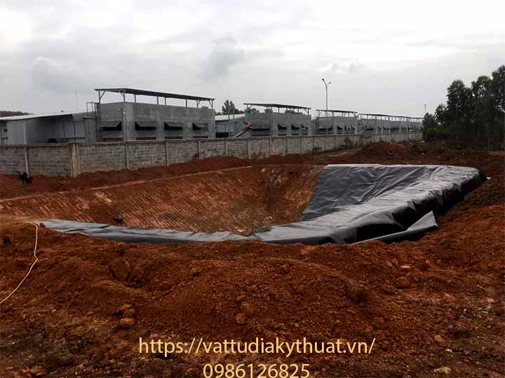 Xử lý chất thải chăn nuôi bằng màng chống thấm HDPE mang lại hiệu quả kinh tế cao 