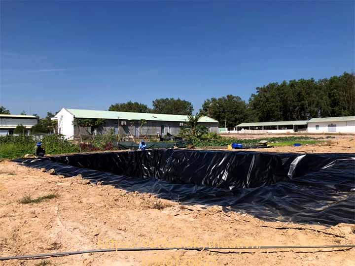 Hệ thống biogas dùng màng chống thấm HDPE tại BÌnh thuạn hoàn thành đúng tiến độ