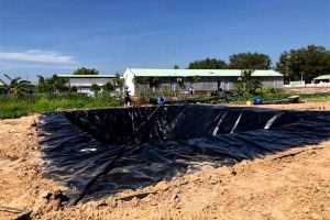 Hệ thống biogas trang trại dùng màng chống thấm HDPE tại Bình Thuận