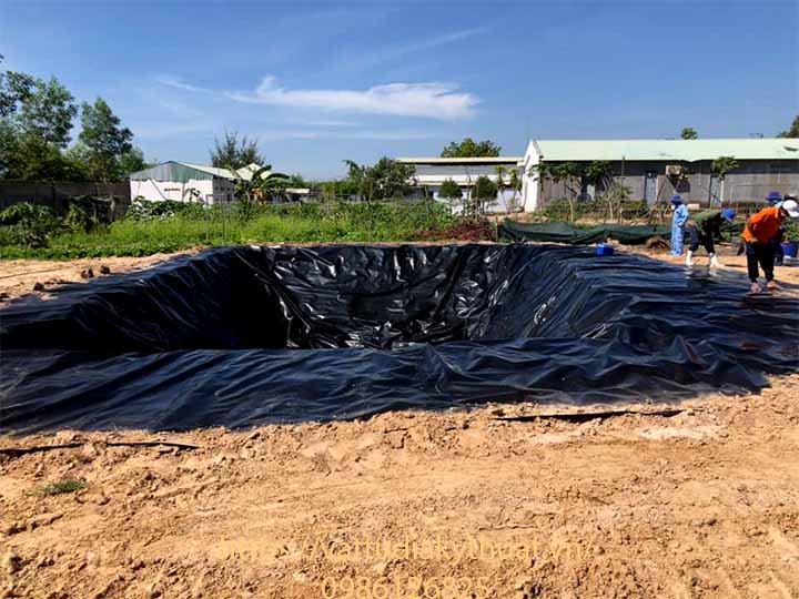 Trang trại nuôi lợn sử dụng màng chống thấm HDPE tại bình thuận cho hiệu quả kinh tế