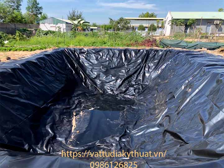 Hệ thống biogas trang trại nuôi lợn tại bình thuận sử dụng màng chống thấm HDPE 1.5mm đảm bảo chất lượng