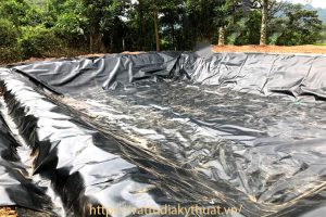 Hỏi về nơi bán bạt lót hồ chứa nước chất lượng