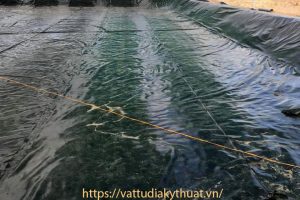 Lót ao nuôi tôm bằng màng chống thấm HDPE tại Bạc Liêu