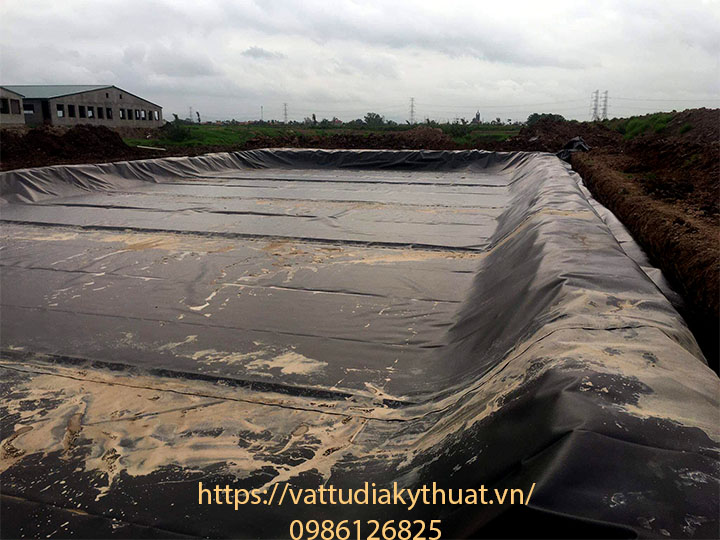 hệ thống biogas sử dụng màng chống thấm HDPE tại hải Dương giảm thiêu ô nhiễm môi tường chăn nuôi