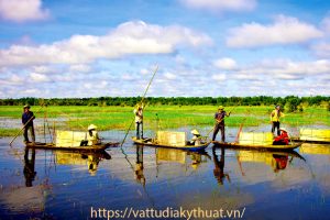 Mua màng bạt HDPE chống thấm tại An Giang ở đâu tốt?