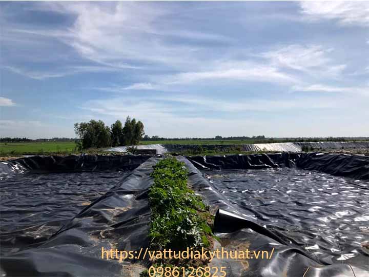 Công ty Phú Sơn thi công màng bạt nhựa HDPE chống thấm chuyên nghiệp hiệu quả