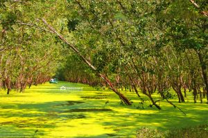 Đại lý màng bạt nhựa HDPE chống thấm tại Hậu Giang