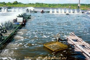 Đại lý màng bạt nhựa HDPE chống thấm tại Sóc Trăng