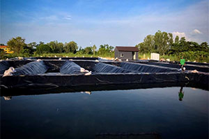 Bạt HDPE ót ao hồ tại Thái Nguyên