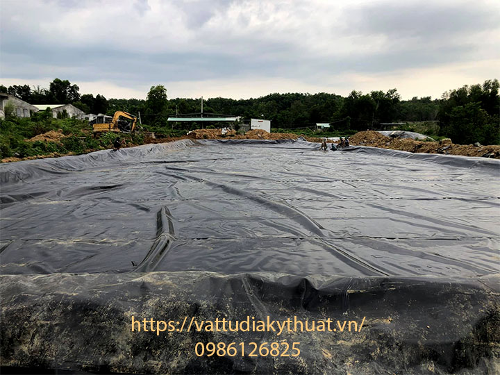 Màng chống thấm HDPE chất lượng được sử dụng lót hệ thống xử lý chất thải chăn nuôi ở bình Dương