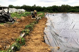 XÂY DỰNG HẦM BIOGAS BẰNG MÀNG HDPE