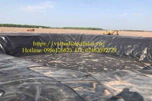 Bạt lót hồ cá chứa nước, Bạt chống thấm HDPE lót ao giá rẻ tại Sóc Trăng