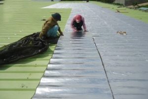 Giấy dầu tẩm nhựa đường giá rẻ, giấy dầu chất lượng tại Hà Nội và TP.HCM
