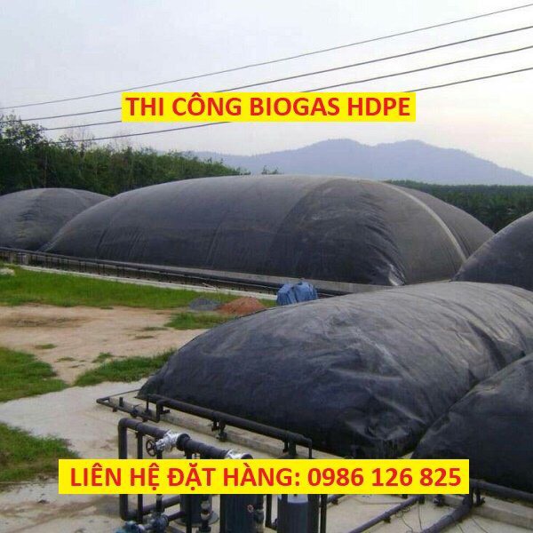 Mô hình hầm biogas phủ bạt HDPE đang được áp dụng tại nhiều trang trại chăn nuôi