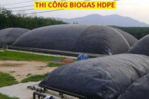 Nên sử dụng loại màng HDPE nào làm hầm biogas