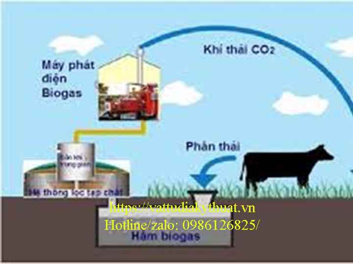 Xử lý chất thải chăn nuôi bằng ru phân hữu cơ