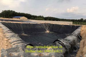 Một số biện pháp xử lý môi trường trong chăn nuôi