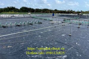 Lưu ý khi nuôi tôm trong ao lót bạt HDPE
