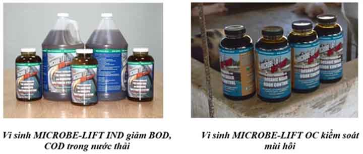 2 loại chế phẩm xử lý chất thải chăn nuôi lợn