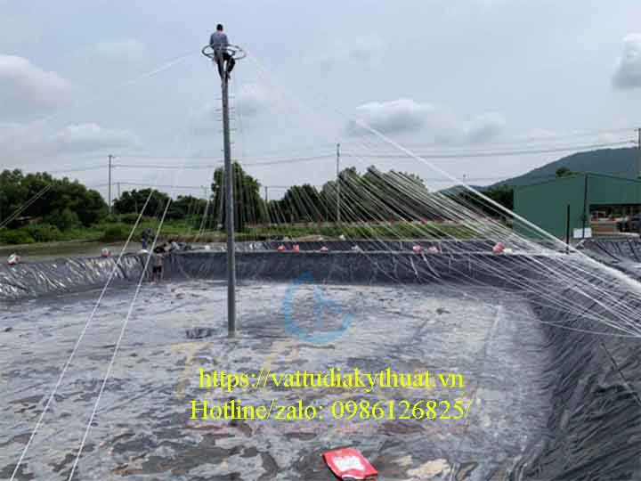 Sử dụng bạt HDPE nâng cao hiệu quả nuôi tôm công nghiệp