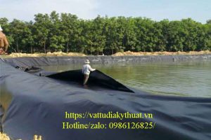 Một số ưu điểm khi nuôi tôm trong ao lót bạt HDPE