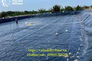 Bạt HDPE dày 0.3mm – Giải Pháp Giá Rẻ Cho Nuôi Tôm Công Nghiệp