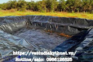 Màng HDPE 0.5mm Lót Hồ Chứa Nước Tưới Nông Nghiệp