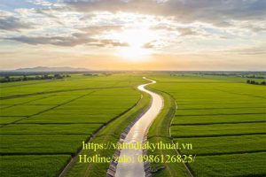 Neoweb 356 – 120 Công Nghệ Mới Bảo Vệ Công Trình Thủy Lợi