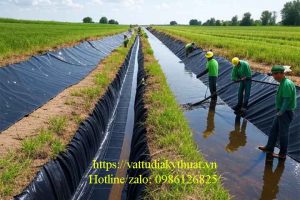 Ô Địa Kỹ Thuật Geocell HDPE 445 – 150