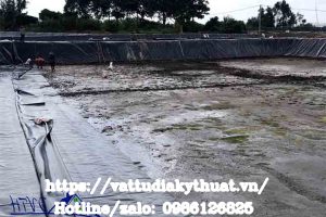 Màng HDPE Chống Thấm 0.5mm Tại Hà Nội